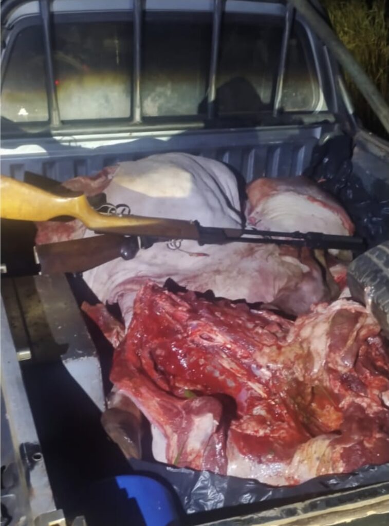 Dois são mortos em confronto com a PM e dupla é presa por furtar gados na região de Três Lagoas Dois são mortos em confronto com a PM e dupla é presa por furtar gados na região de Três Lagoas