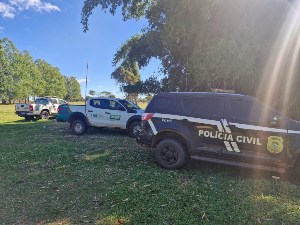 Operação Marca Fria: Polícia Civil desarticula esquema de furto e adulteração de gado em Brasilândia Operação Marca Fria: Polícia Civil desarticula esquema de furto e adulteração de gado em Brasilândia