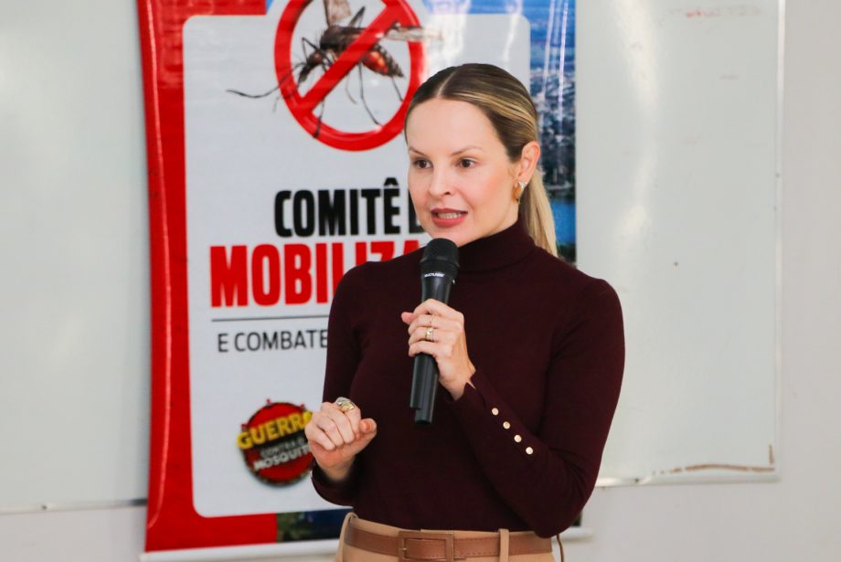 Comitê de Mobilização e Combate às Arboviroses apresenta ações desenvolvidas e novas tecnologias Comitê de Mobilização e Combate às Arboviroses apresenta ações desenvolvidas e novas tecnologias