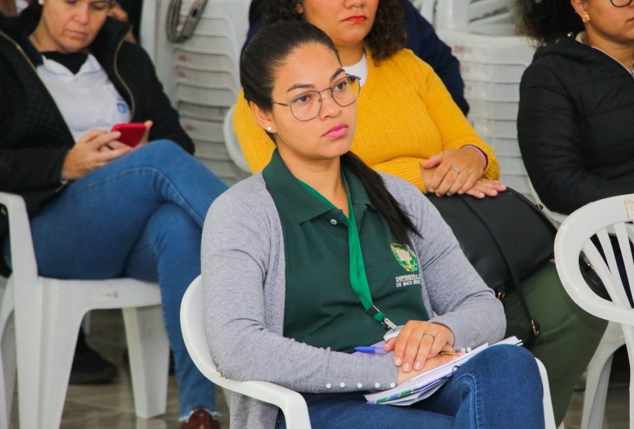 Comitê de Mobilização e Combate às Arboviroses apresenta ações desenvolvidas e novas tecnologias Comitê de Mobilização e Combate às Arboviroses apresenta ações desenvolvidas e novas tecnologias