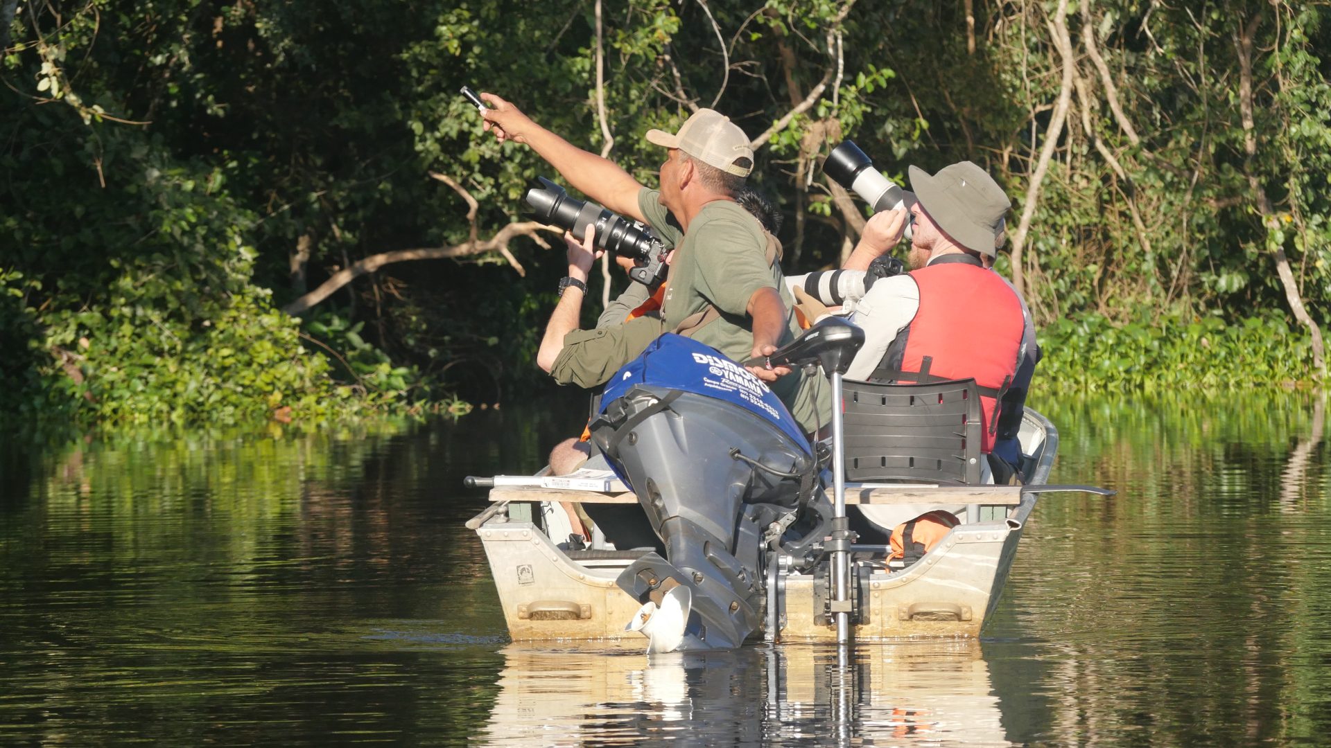 Famtour internacional destaca o Pantanal de MS como destino estratégico para observação de aves Famtour internacional destaca o Pantanal de MS como destino estratégico para observação de aves