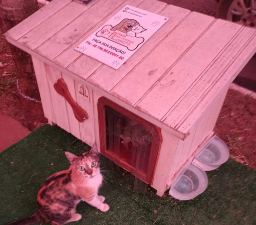 Hotéis improvisados para animais de rua mostram que a bondade aquece qualquer frente fria Hotéis improvisados para animais de rua mostram que a bondade aquece qualquer frente fria