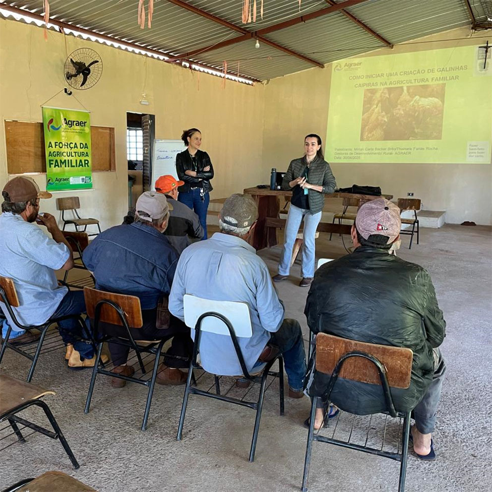 Agraer, Embrapa e Iagro reforçam prevenção à gripe aviária com foco na agricultura familiar
