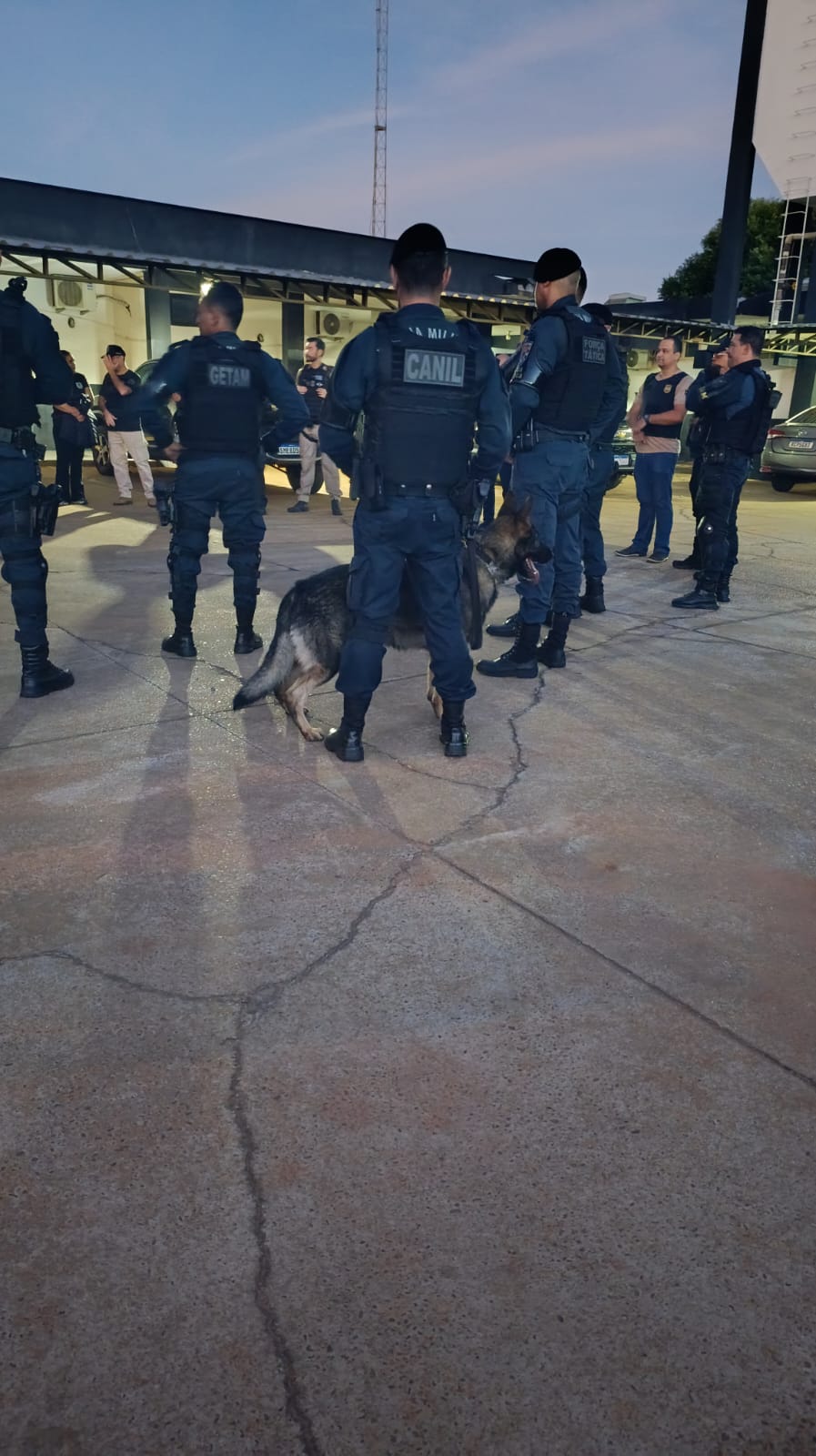 Em Três Lagoas, forças policiais deflagram Operação Hefesto e apreendem droga, munição e ouro avaliado em quase meio milhão de reais