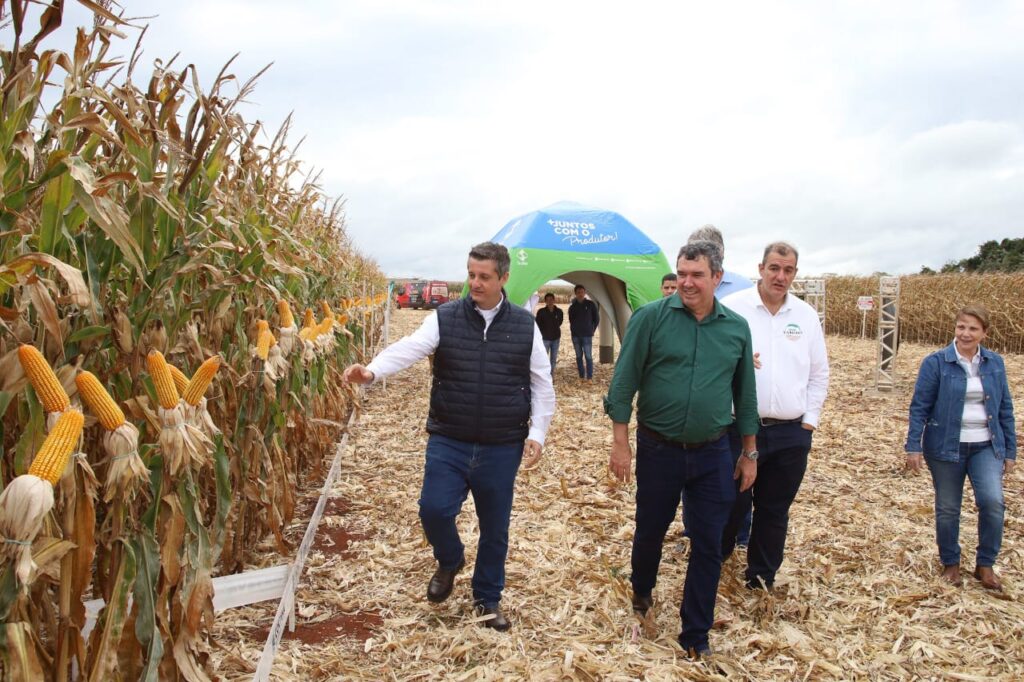 Governo de MS discute novas tecnologias e modelos para impulsionar produção de milho Governo de MS discute novas tecnologias e modelos para impulsionar produção de milho