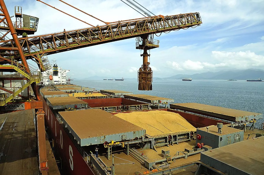 Três Lagoas lidera exportações com avanço da celulose e consolida papel estratégico em MS
