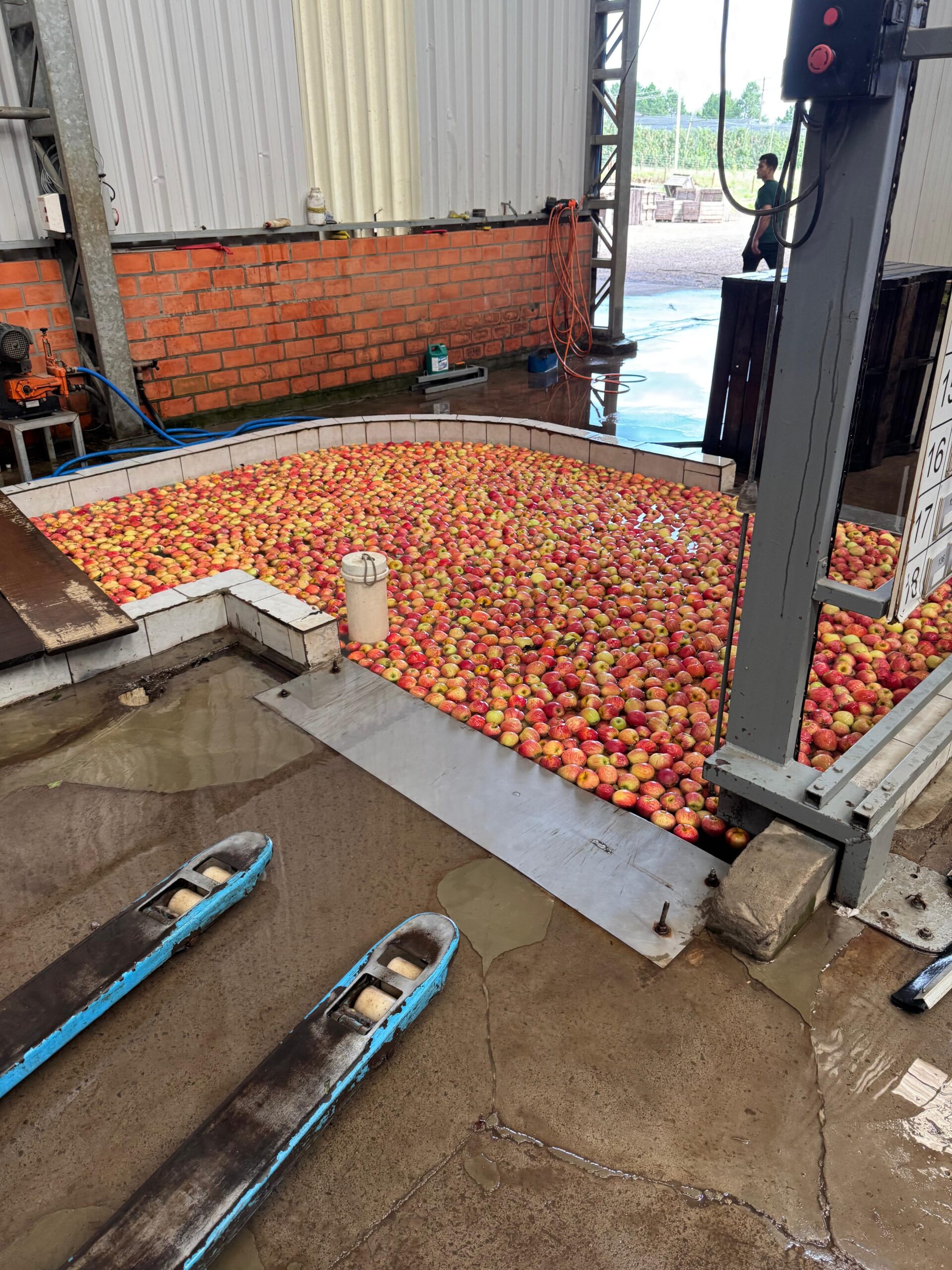 Com auxílio do Tecpar, Paraná terá nova tecnologia europeia para sistemas agrícolas Com auxílio do Tecpar, Paraná terá nova tecnologia europeia para sistemas agrícolas