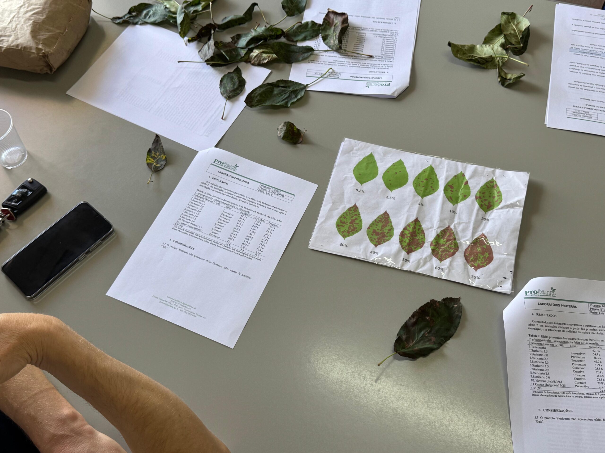 Com auxílio do Tecpar, Paraná terá nova tecnologia europeia para sistemas agrícolas Com auxílio do Tecpar, Paraná terá nova tecnologia europeia para sistemas agrícolas