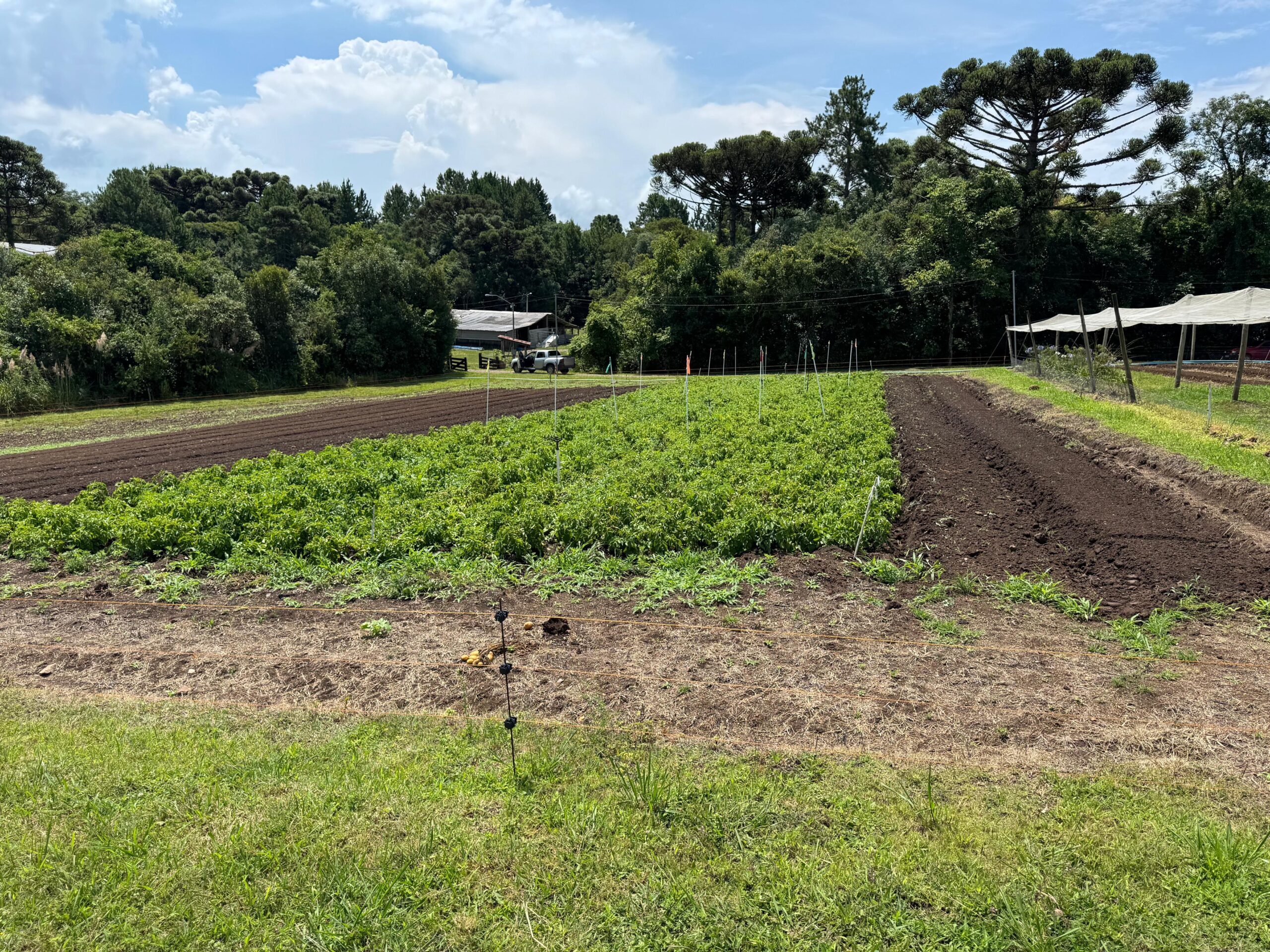 Com auxílio do Tecpar, Paraná terá nova tecnologia europeia para sistemas agrícolas Com auxílio do Tecpar, Paraná terá nova tecnologia europeia para sistemas agrícolas