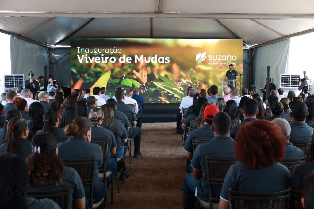 MS se consolida como potência florestal e ocupa 2º lugar em plantio de eucalipto no Brasil MS se consolida como potência florestal e ocupa 2º lugar em plantio de eucalipto no Brasil
