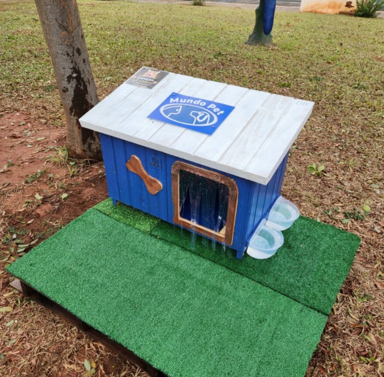 Hotéis improvisados para animais de rua mostram que a bondade aquece qualquer frente fria Hotéis improvisados para animais de rua mostram que a bondade aquece qualquer frente fria