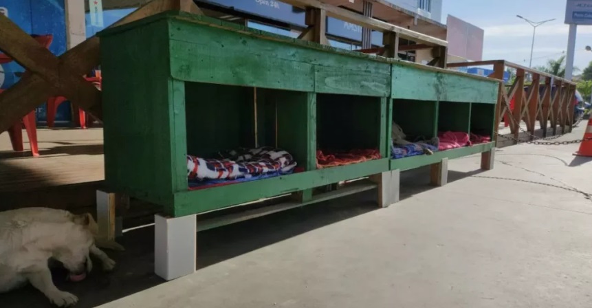 Hotéis improvisados para animais de rua mostram que a bondade aquece qualquer frente fria Hotéis improvisados para animais de rua mostram que a bondade aquece qualquer frente fria