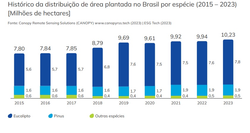 MS se consolida como potência florestal e ocupa 2º lugar em plantio de eucalipto no Brasil MS se consolida como potência florestal e ocupa 2º lugar em plantio de eucalipto no Brasil