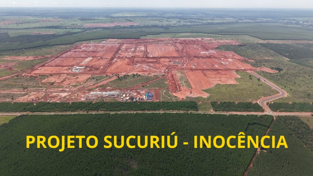 Três Lagoas coloca o Brasil no topo do mercado mundial de celulose Três Lagoas coloca o Brasil no topo do mercado mundial de celulose