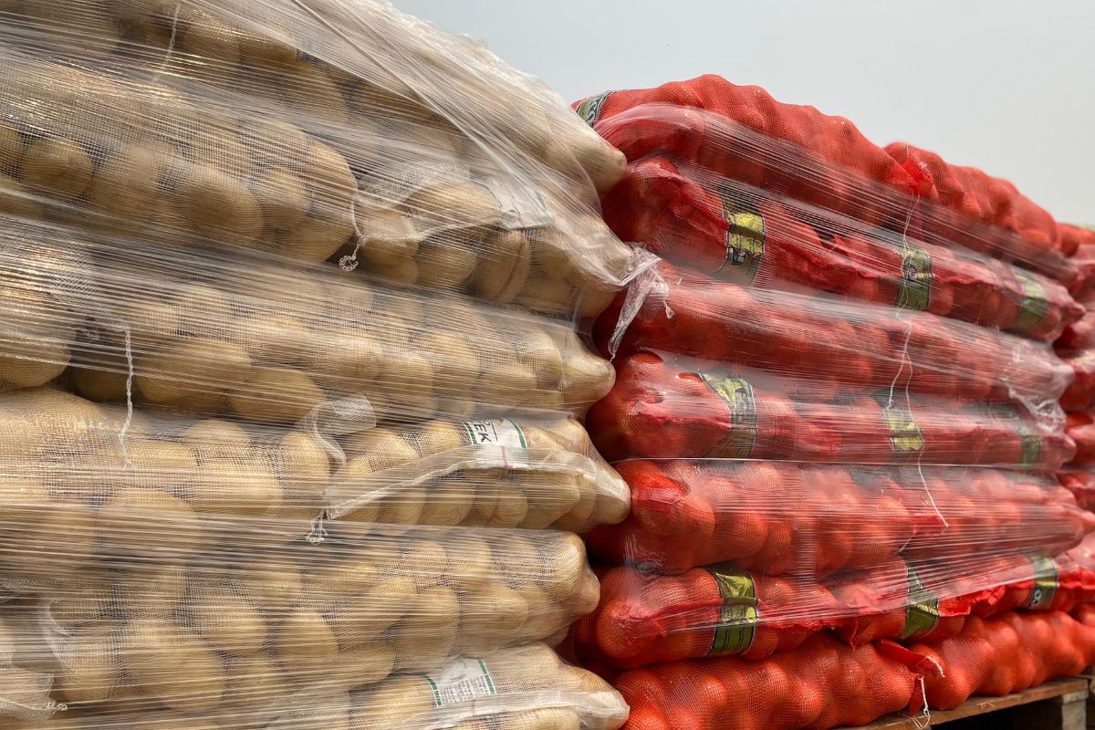 Cebola e manga seguem em queda, mas preços do melão e do tomate sobem na Ceasa-MS