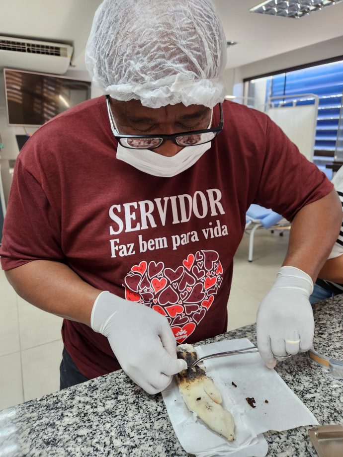 Saúde oferece capacitação em feridas para profissionais da Atenção Básica Saúde oferece capacitação em feridas para profissionais da Atenção Básica