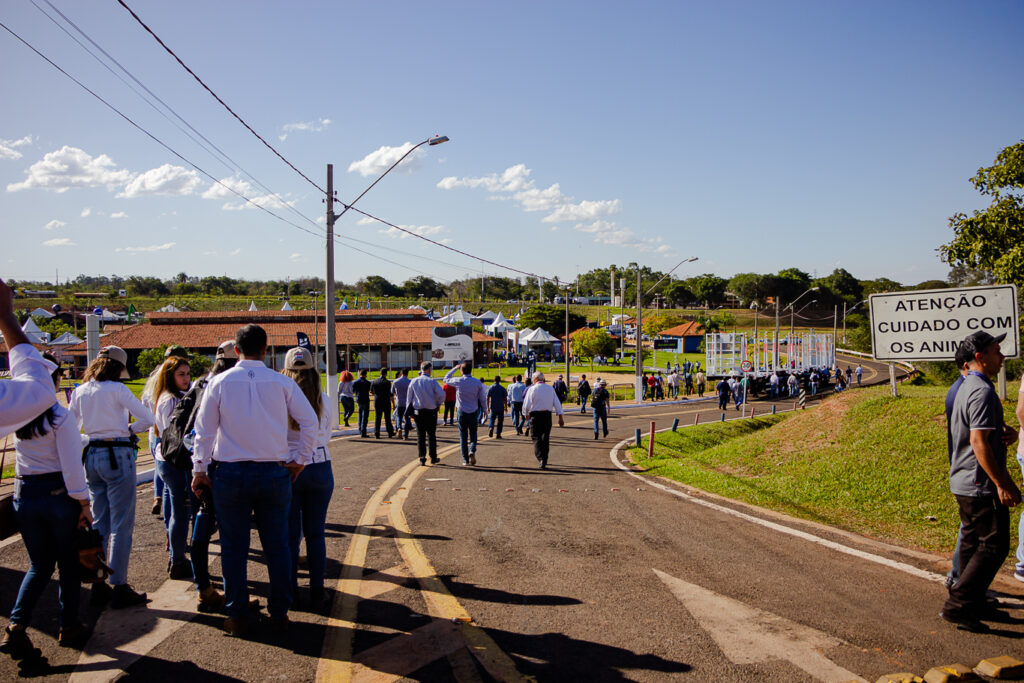 Show Florestal 2025 consolidará Três Lagoas como polo estratégico da indústria do eucalipto