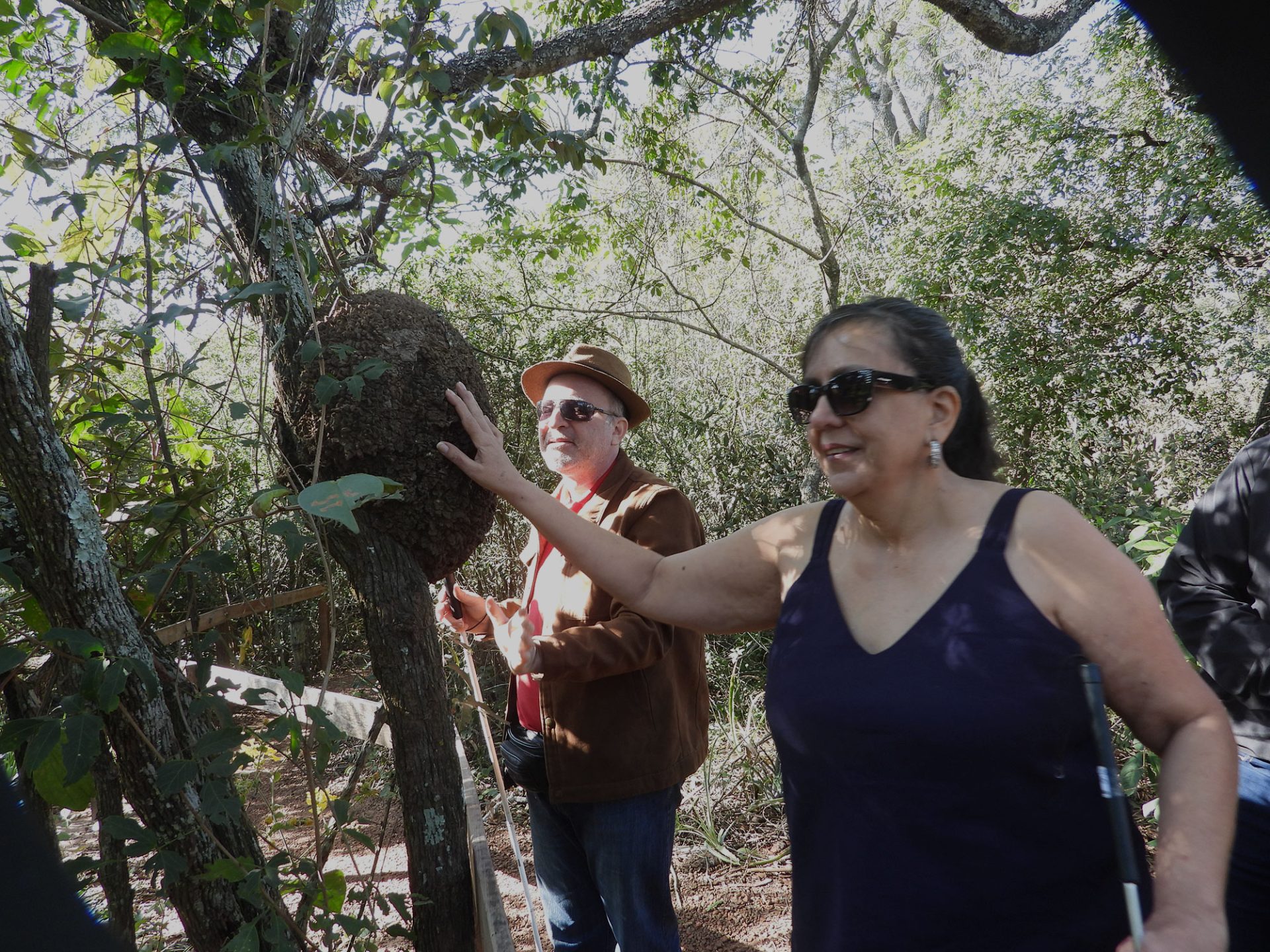 Turismo Acessível ganha força em Mato Grosso do Sul com experiências reais de inclusão Turismo Acessível ganha força em Mato Grosso do Sul com experiências reais de inclusão