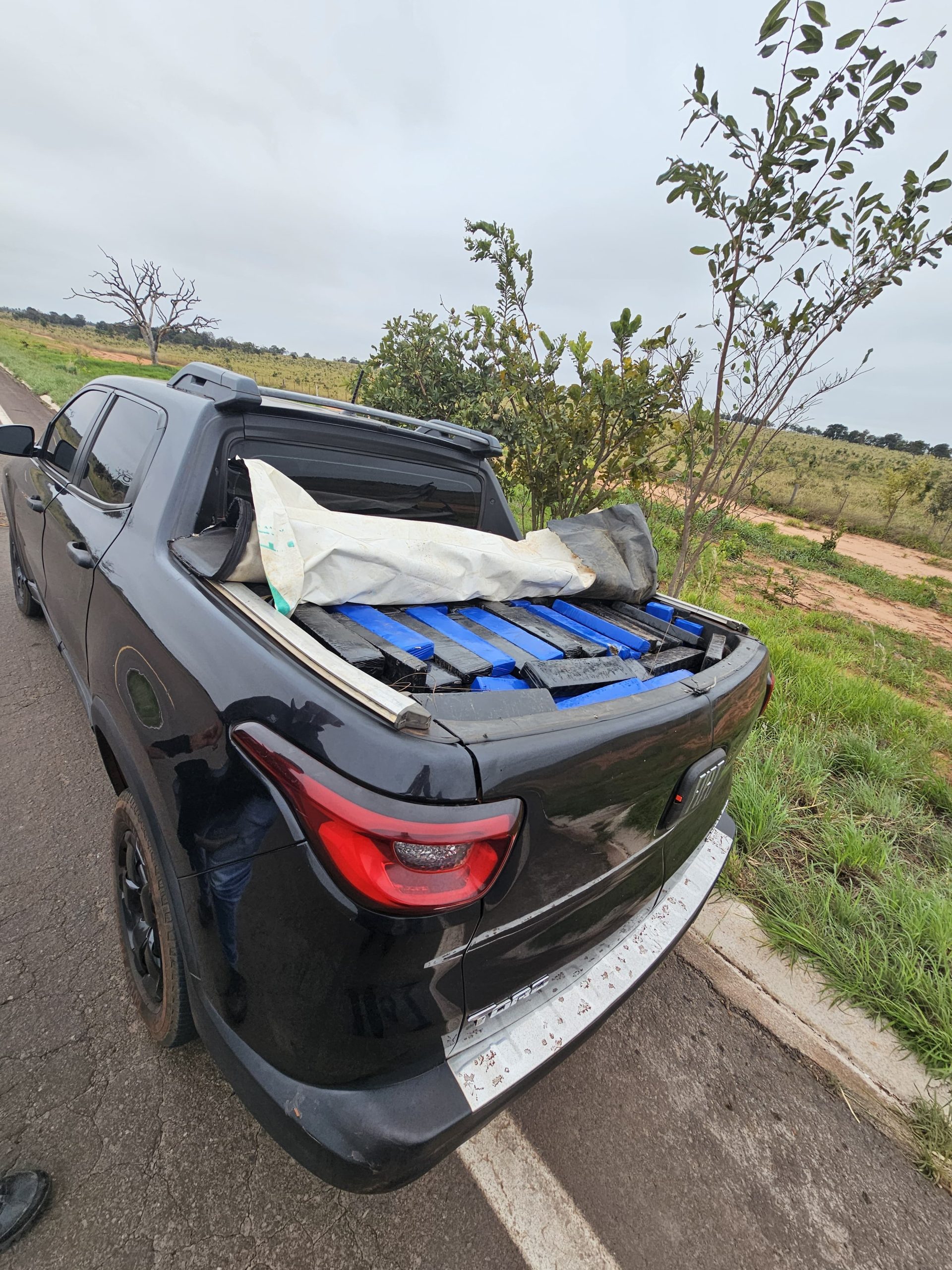 Polícia Civil apreende mais de uma tonelada de maconha em Água Clara