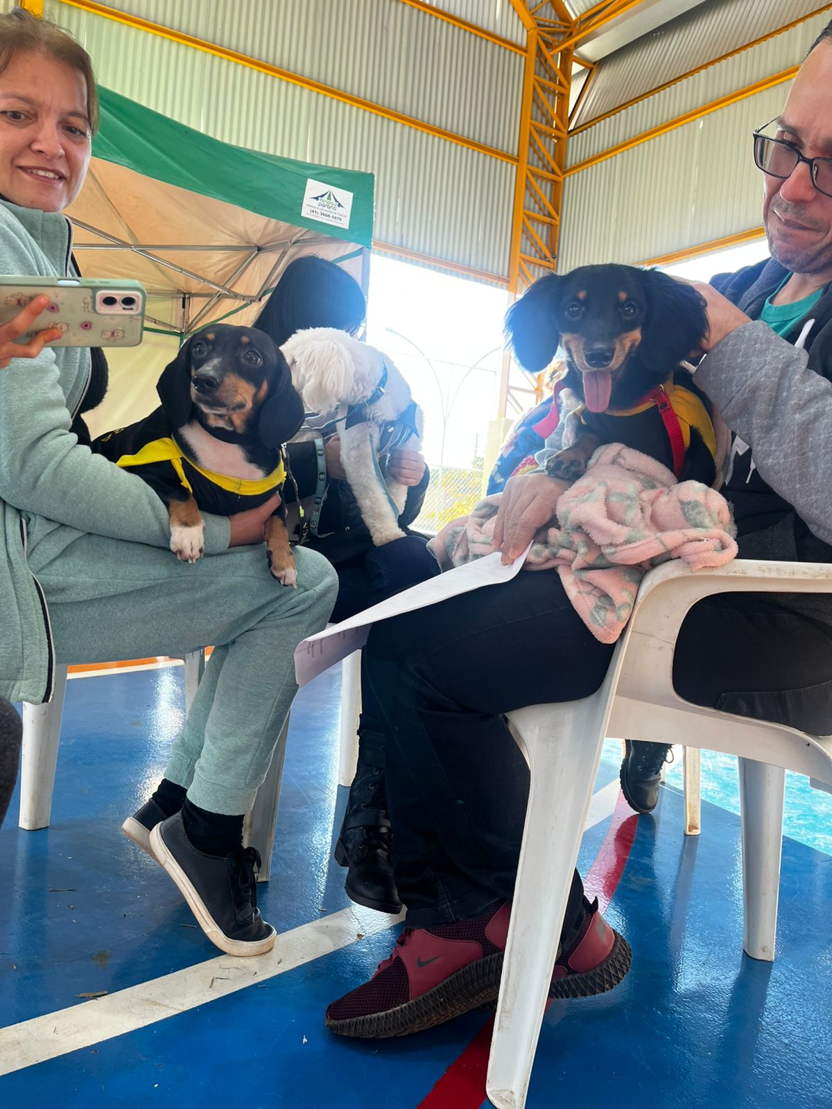Caravana da Castração avança em MS com mais de 1 mil atendimentos nos primeiros municípios do programa Caravana da Castração avança em MS com mais de 1 mil atendimentos nos primeiros municípios do programa