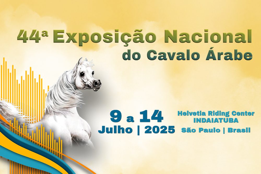 Criador de Três Lagoas conquista três prêmios na maior exposição de cavalo árabe do Brasil Criador de Três Lagoas conquista três prêmios na maior exposição de cavalo árabe do Brasil
