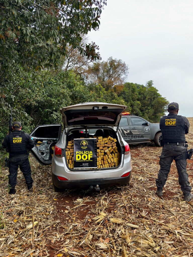 DOF apreende quase 900 quilos de drogas em carro roubado em Campo Grande DOF apreende quase 900 quilos de drogas em carro roubado em Campo Grande