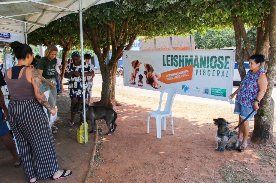 Dia D de Prevenção à Leishmaniose em Três Lagoas registra 175 vacinações e mais de 40 exames Dia D de Prevenção à Leishmaniose em Três Lagoas registra 175 vacinações e mais de 40 exames