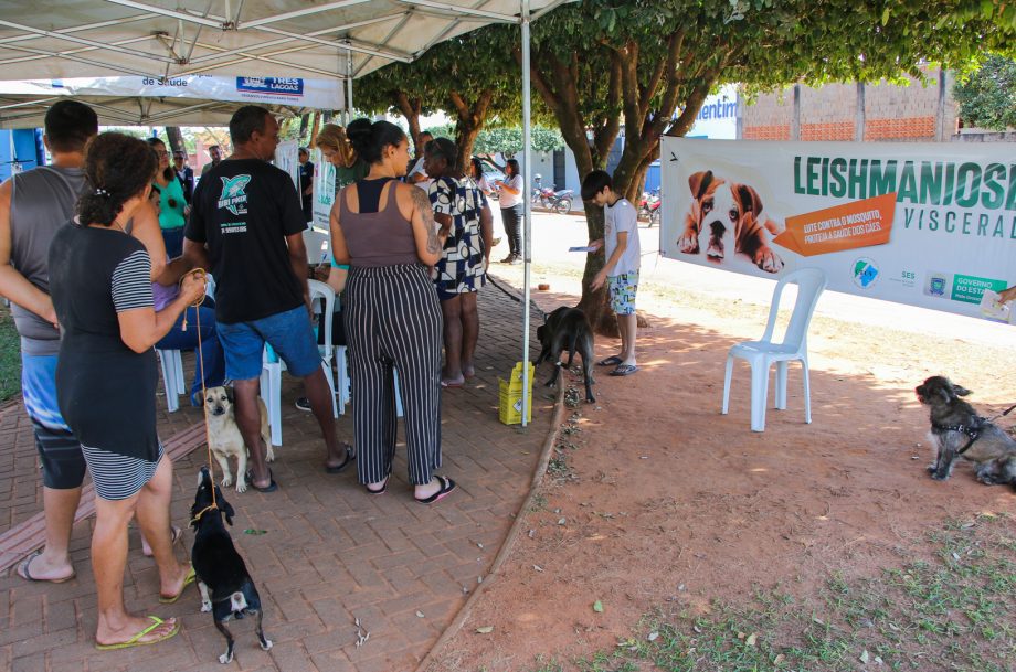 Dia D de Prevenção à Leishmaniose em Três Lagoas registra 175 vacinações e mais de 40 exames Dia D de Prevenção à Leishmaniose em Três Lagoas registra 175 vacinações e mais de 40 exames
