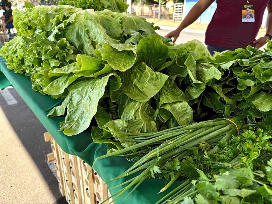 1ª Semana da Agricultura Familiar rende R$ 15 mil em vendas e grande participação popular 1ª Semana da Agricultura Familiar rende R$ 15 mil em vendas e grande participação popular