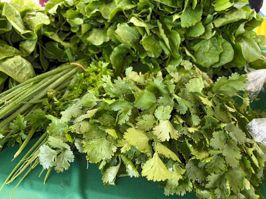 1ª Semana da Agricultura Familiar rende R$ 15 mil em vendas e grande participação popular 1ª Semana da Agricultura Familiar rende R$ 15 mil em vendas e grande participação popular