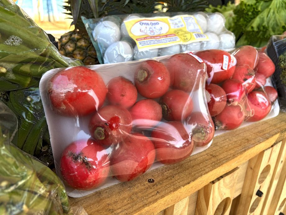 1ª Semana da Agricultura Familiar rende R$ 15 mil em vendas e grande participação popular 1ª Semana da Agricultura Familiar rende R$ 15 mil em vendas e grande participação popular