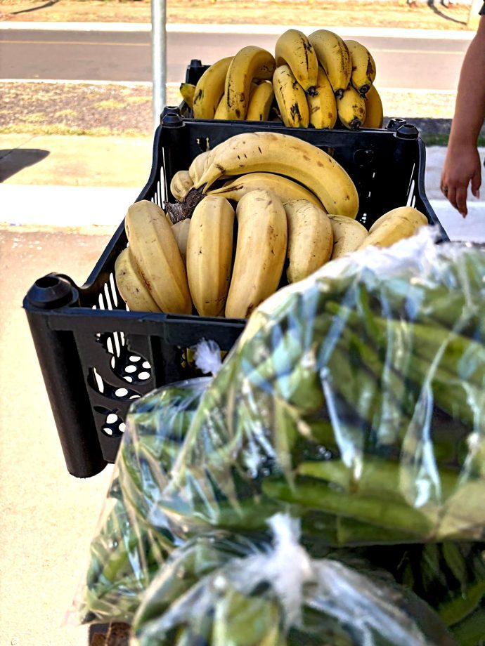 1ª Semana da Agricultura Familiar rende R$ 15 mil em vendas e grande participação popular 1ª Semana da Agricultura Familiar rende R$ 15 mil em vendas e grande participação popular