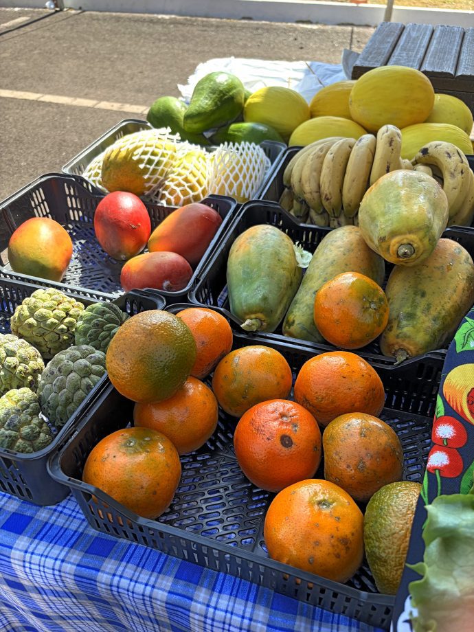 1ª Semana da Agricultura Familiar rende R$ 15 mil em vendas e grande participação popular 1ª Semana da Agricultura Familiar rende R$ 15 mil em vendas e grande participação popular