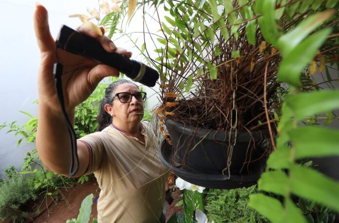 Foto-Alvaro-Rezende-8-730x480-1