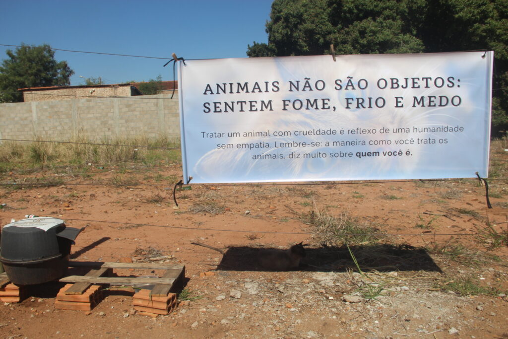"Não vamos recuar": Protetoras de animais enfrentam ameaças e vandalismo no Jardim Alvorada