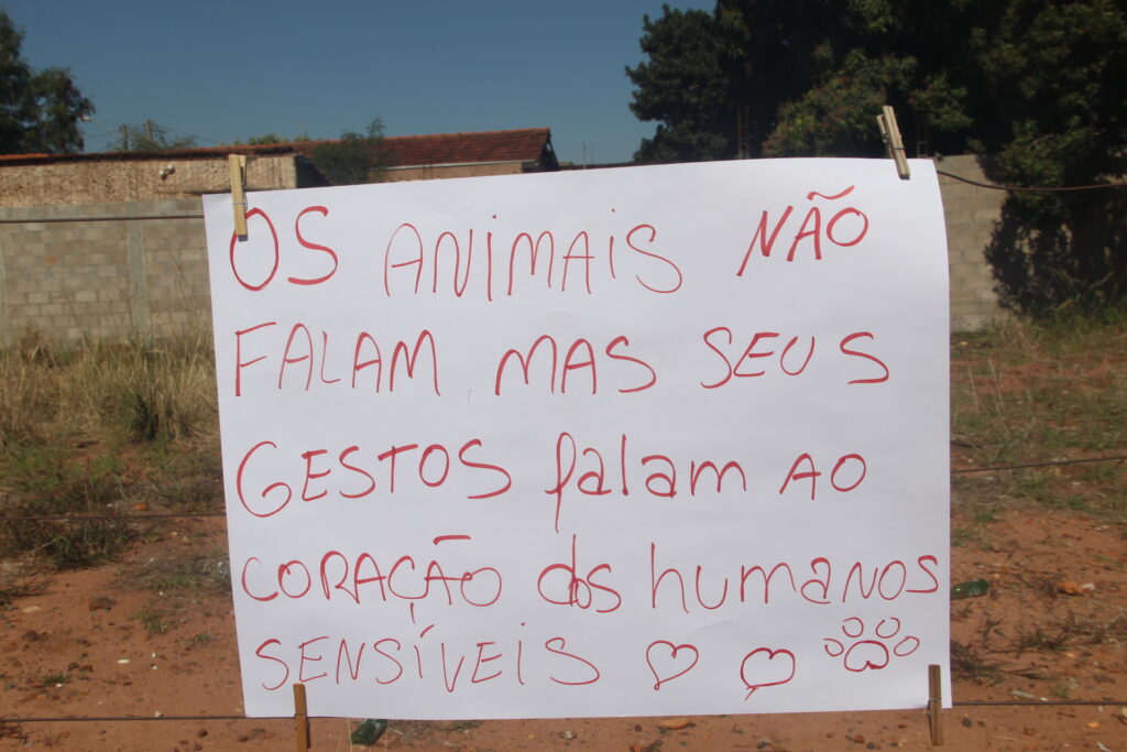 "Não vamos recuar": Protetoras de animais enfrentam ameaças e vandalismo no Jardim Alvorada