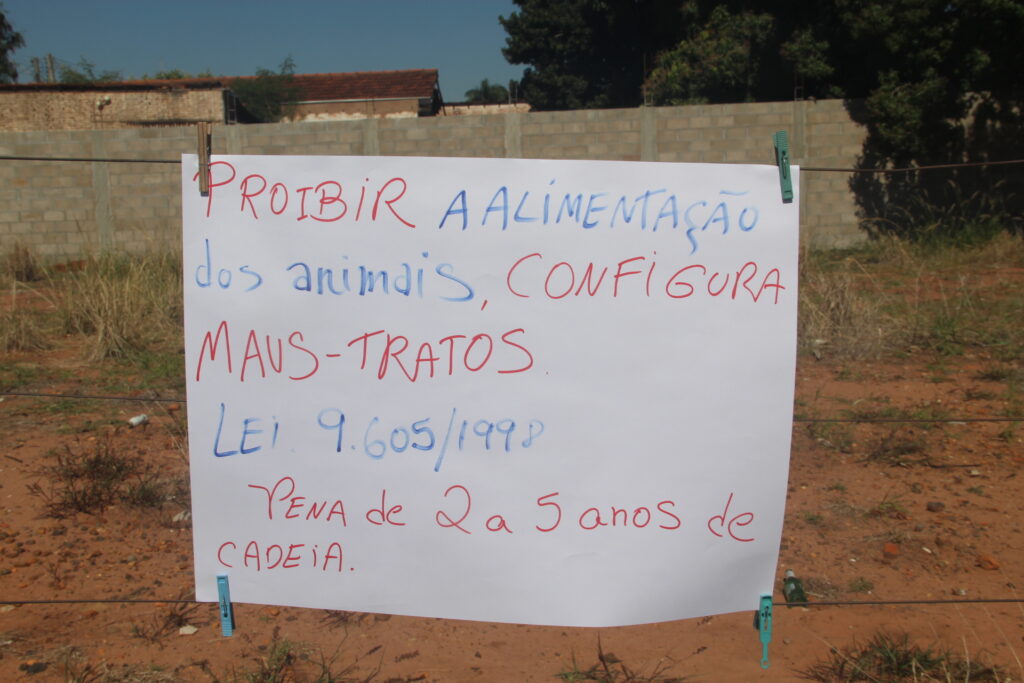 "Não vamos recuar": Protetoras de animais enfrentam ameaças e vandalismo no Jardim Alvorada