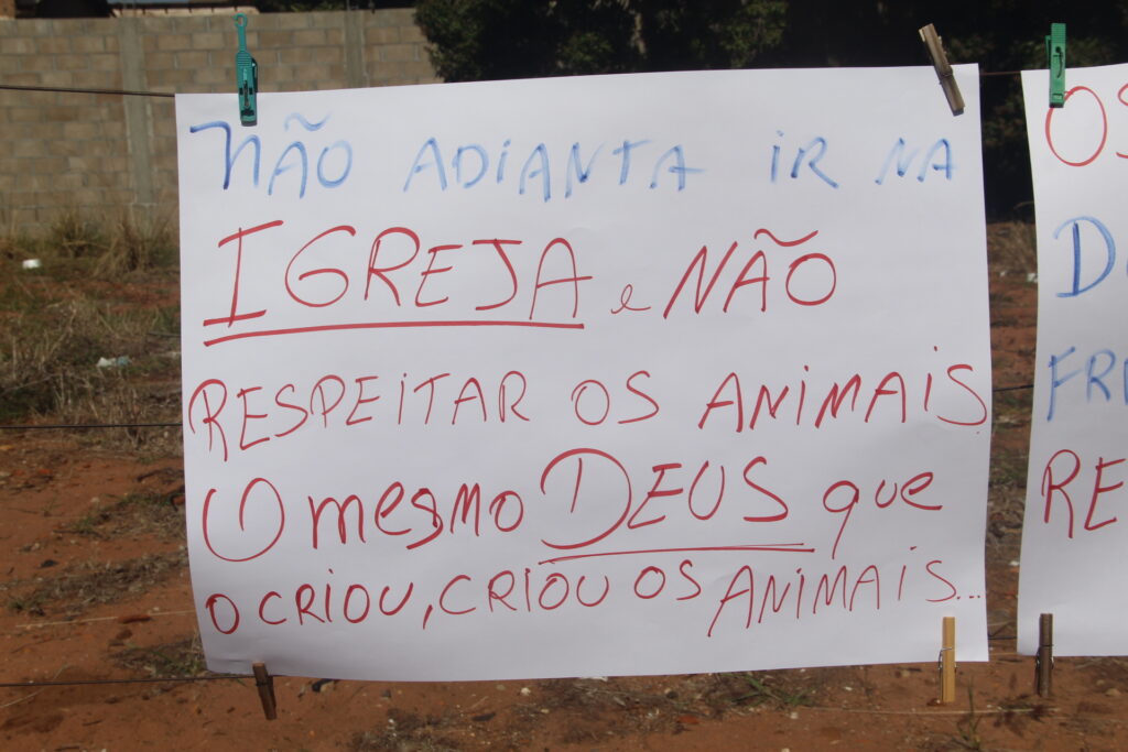 "Não vamos recuar": Protetoras de animais enfrentam ameaças e vandalismo no Jardim Alvorada