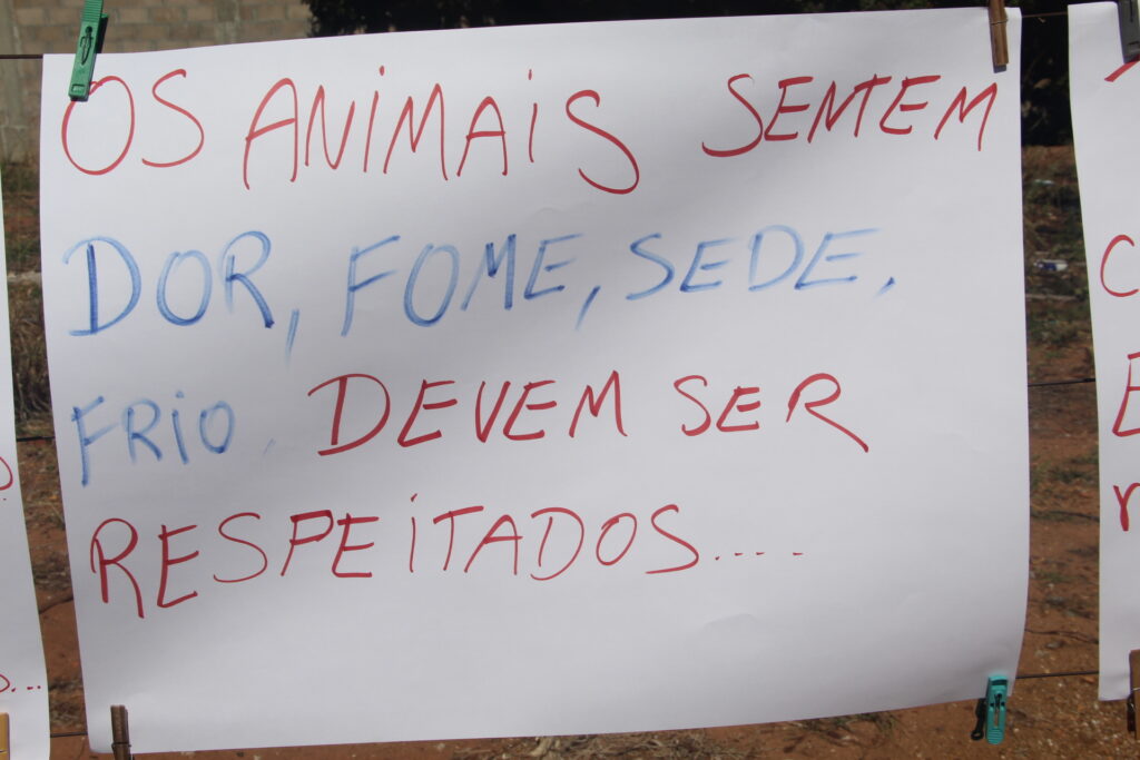 "Não vamos recuar": Protetoras de animais enfrentam ameaças e vandalismo no Jardim Alvorada
