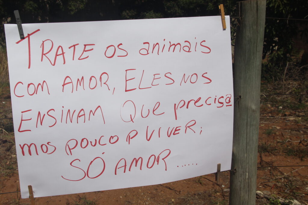 "Não vamos recuar": Protetoras de animais enfrentam ameaças e vandalismo no Jardim Alvorada