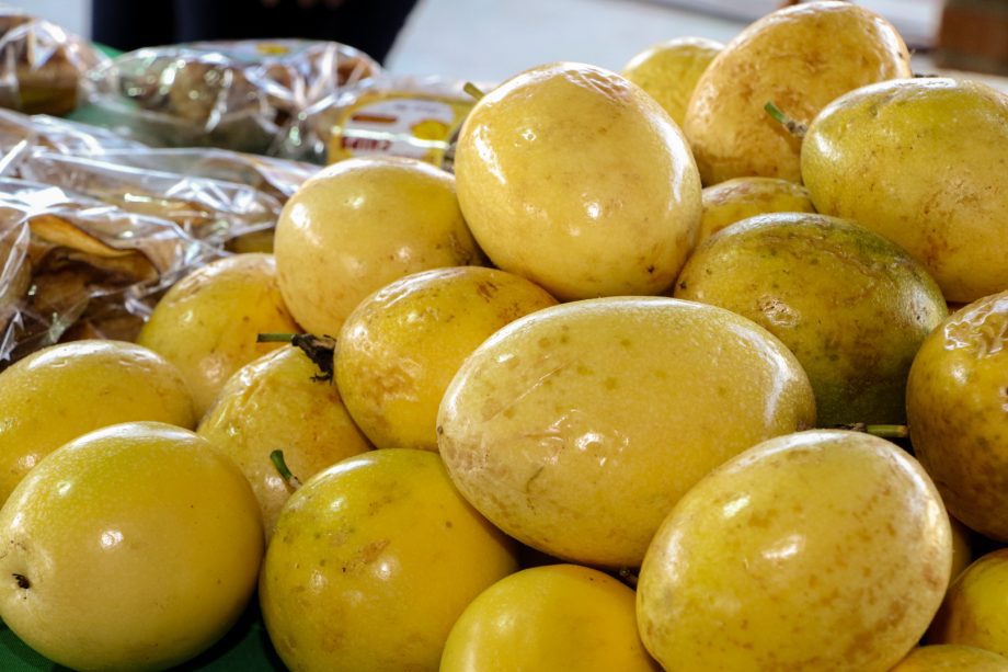 1ª Semana da Agricultura Familiar rende R$ 15 mil em vendas e grande participação popular 1ª Semana da Agricultura Familiar rende R$ 15 mil em vendas e grande participação popular