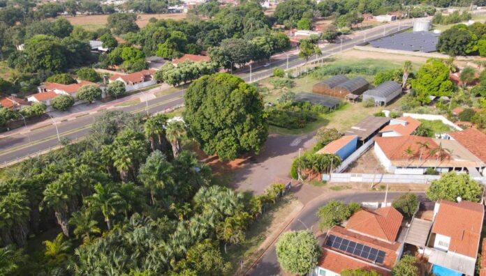 VISITA-SEMEA-VIVEIRO-10-1-scaled