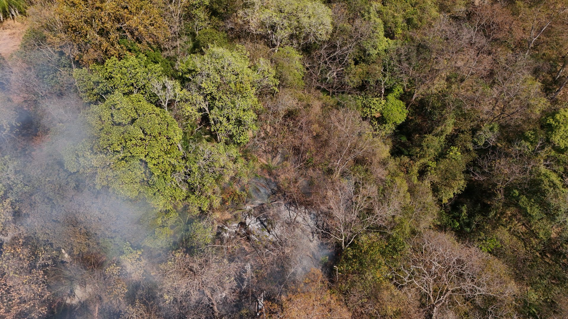 Com menor ocorrência de incêndios florestais, Governo de MS mantém alerta e atuação dos bombeiros