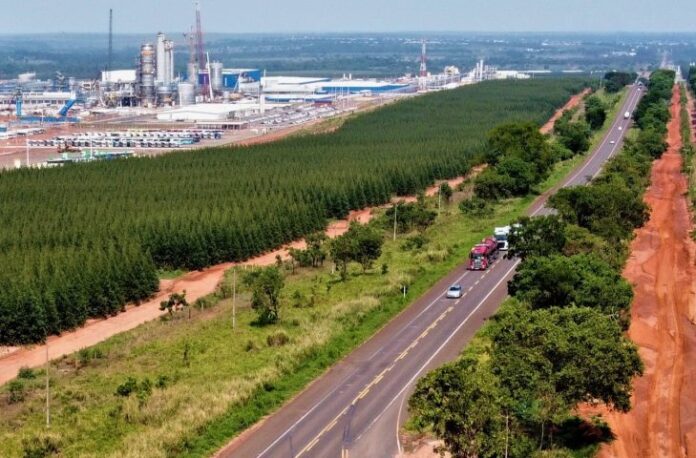 pauta Governo de MS convoca 2° colocado em leilão para habilitação em concessão da Rota da Celulose - nathalia santos