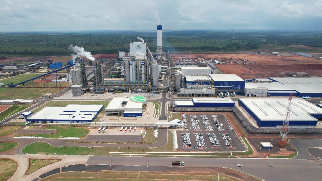 Celulose fica livre do tarifaço de Trump, mas outros produtos correm riscos de taxação