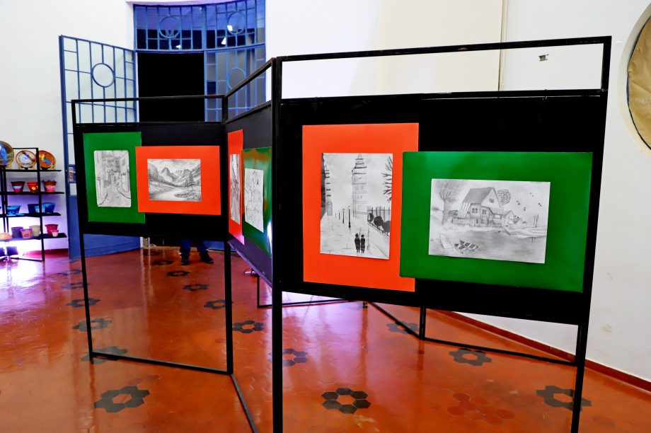 Diretoria de Cultura faz abertura oficial da exposição de artes “Bicho que Voa”