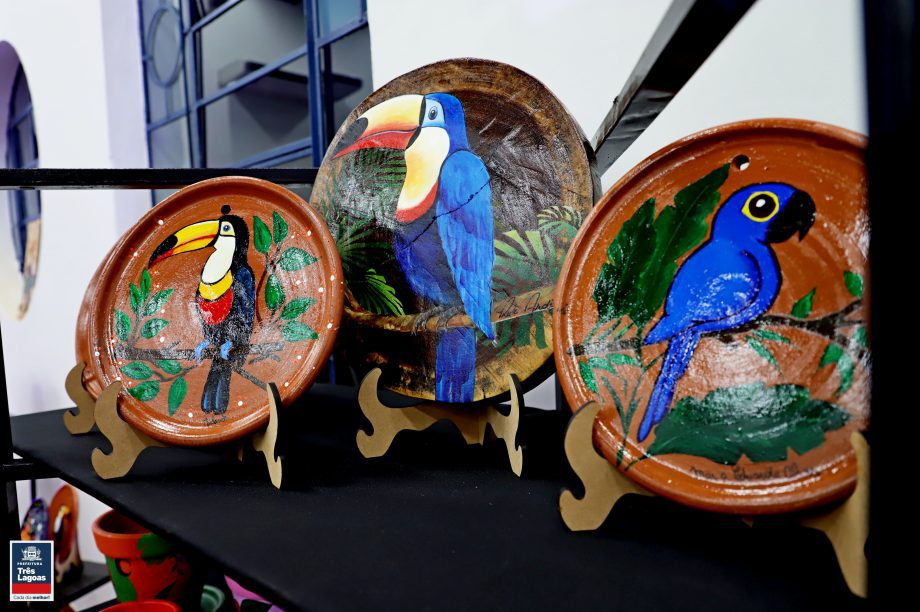 Diretoria de Cultura faz abertura oficial da exposição de artes “Bicho que Voa”