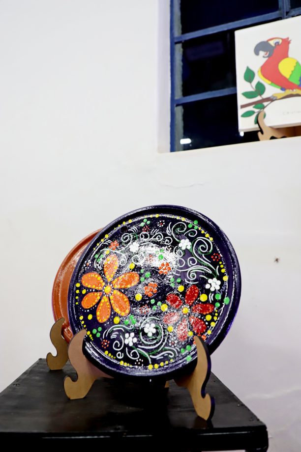 Diretoria de Cultura faz abertura oficial da exposição de artes “Bicho que Voa”
