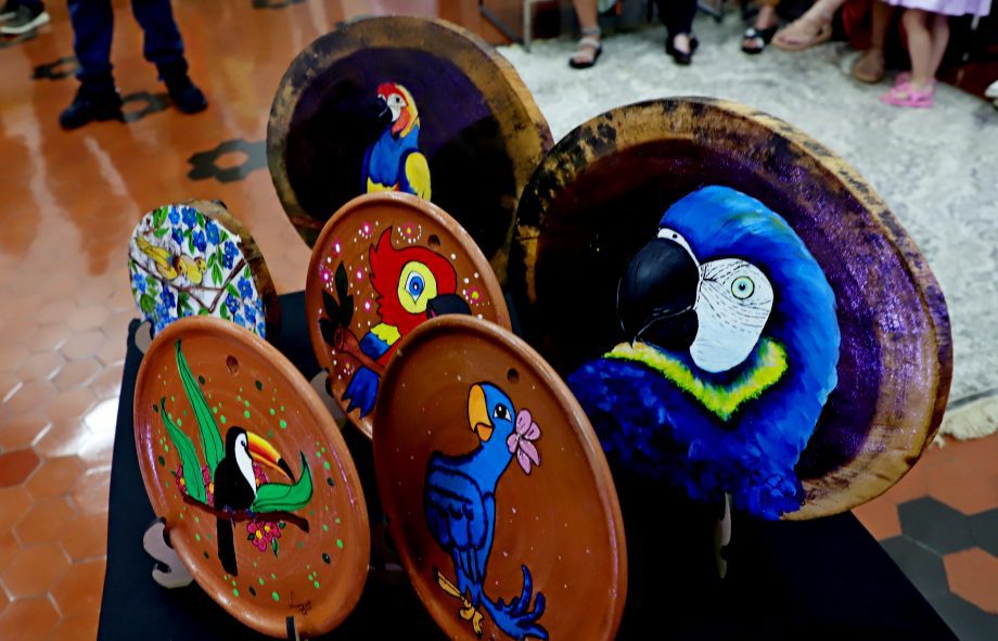Diretoria de Cultura faz abertura oficial da exposição de artes “Bicho que Voa”