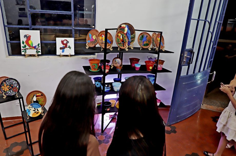 Diretoria de Cultura faz abertura oficial da exposição de artes “Bicho que Voa”